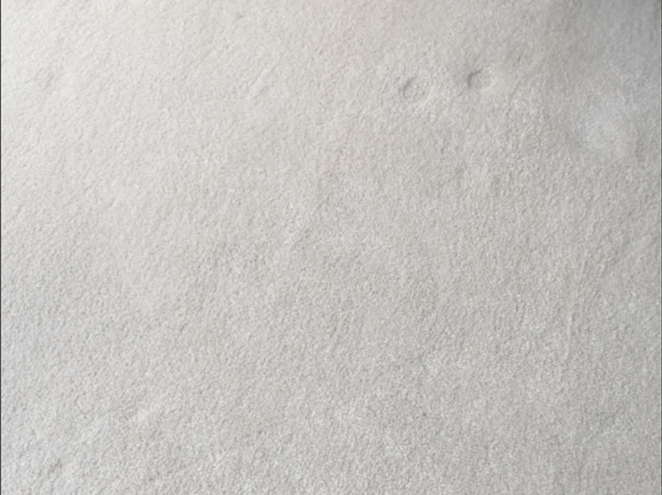 Clean White Carpet